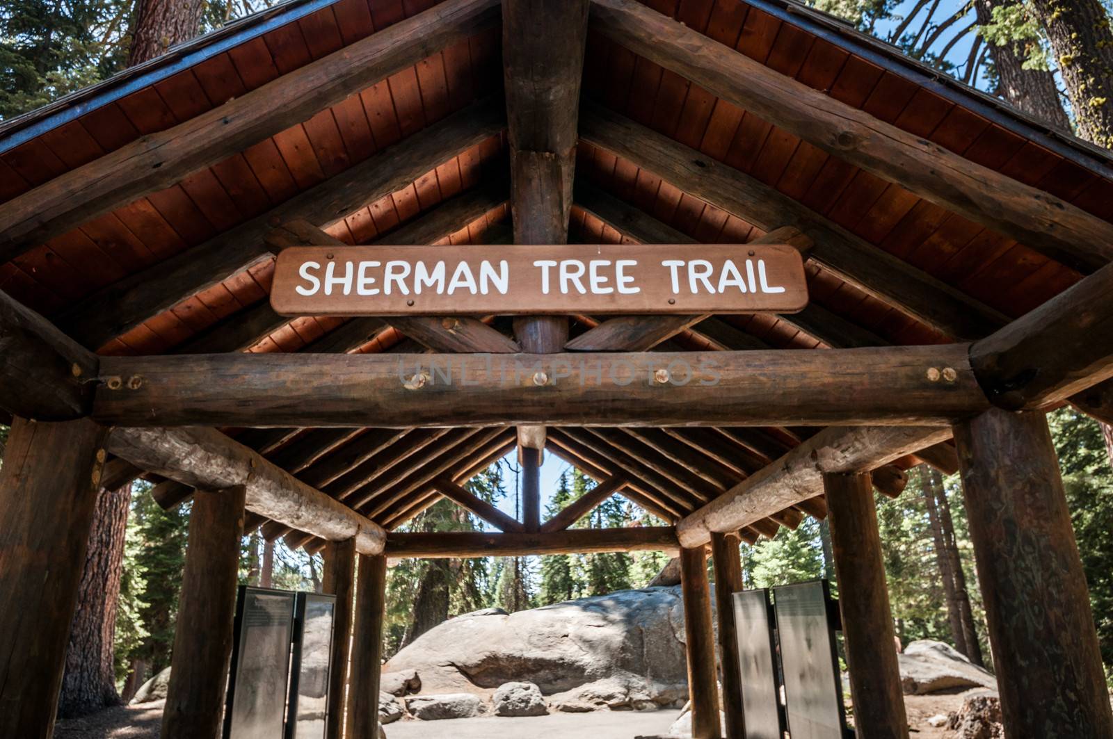 sherman tree trail Sequoia national park entry