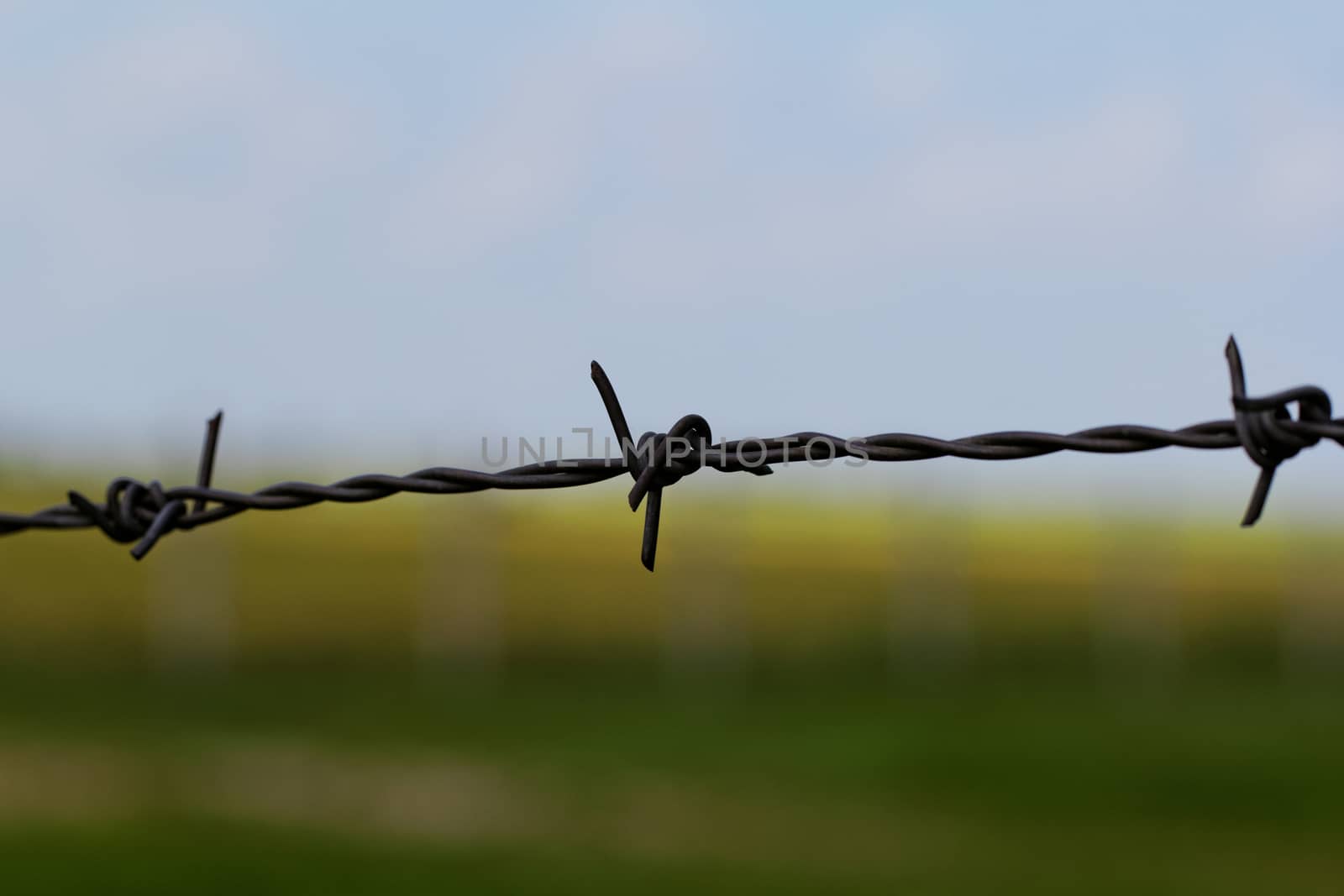 barbed wire defending the industries