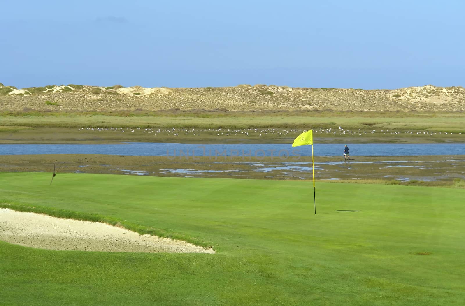 Golf course in Ria Formosa Ecosystem landscape, Algarve, Portugal