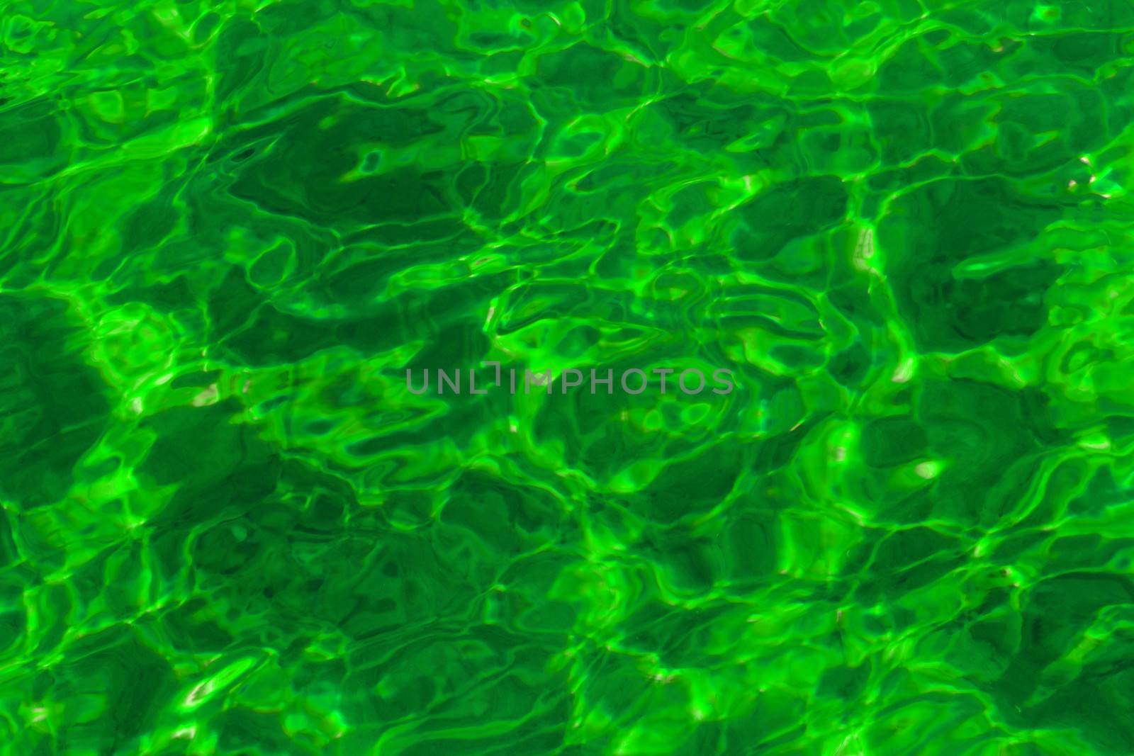 poison green abstract background of wavy water surface