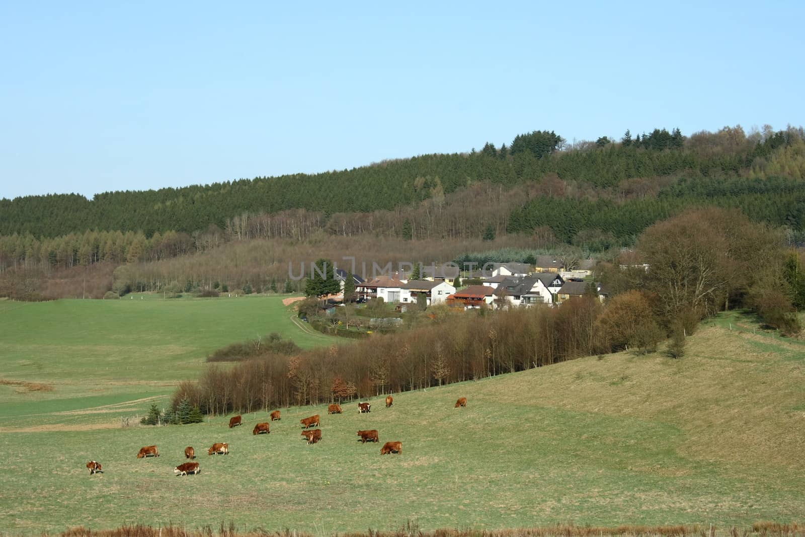 View  on Schmissberg a small  village in Rheinland Pfalz,Germany