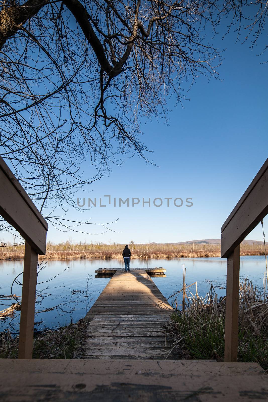 Woman standing on a wooden deck besides a lake