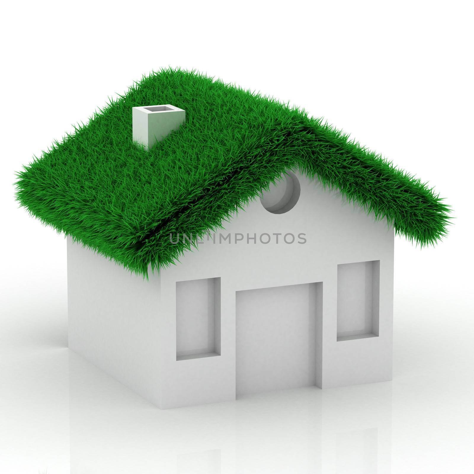 eco grass house on a white background