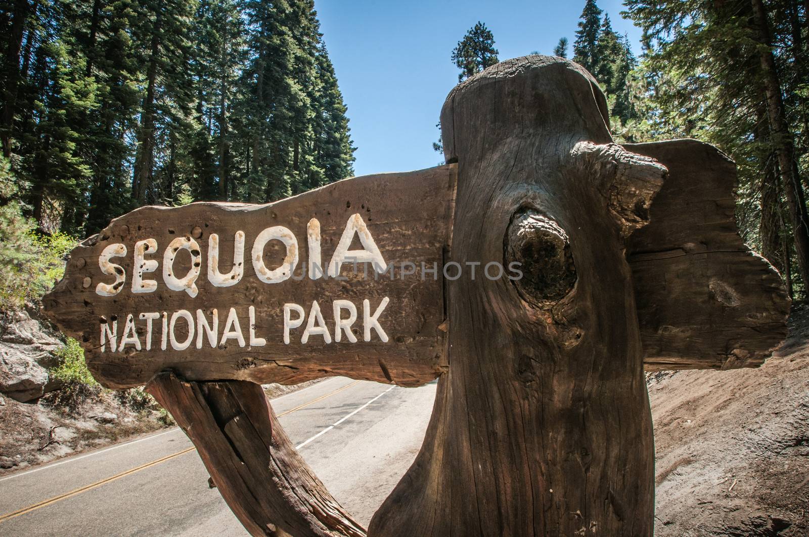 Sequoia sign entry in national park california