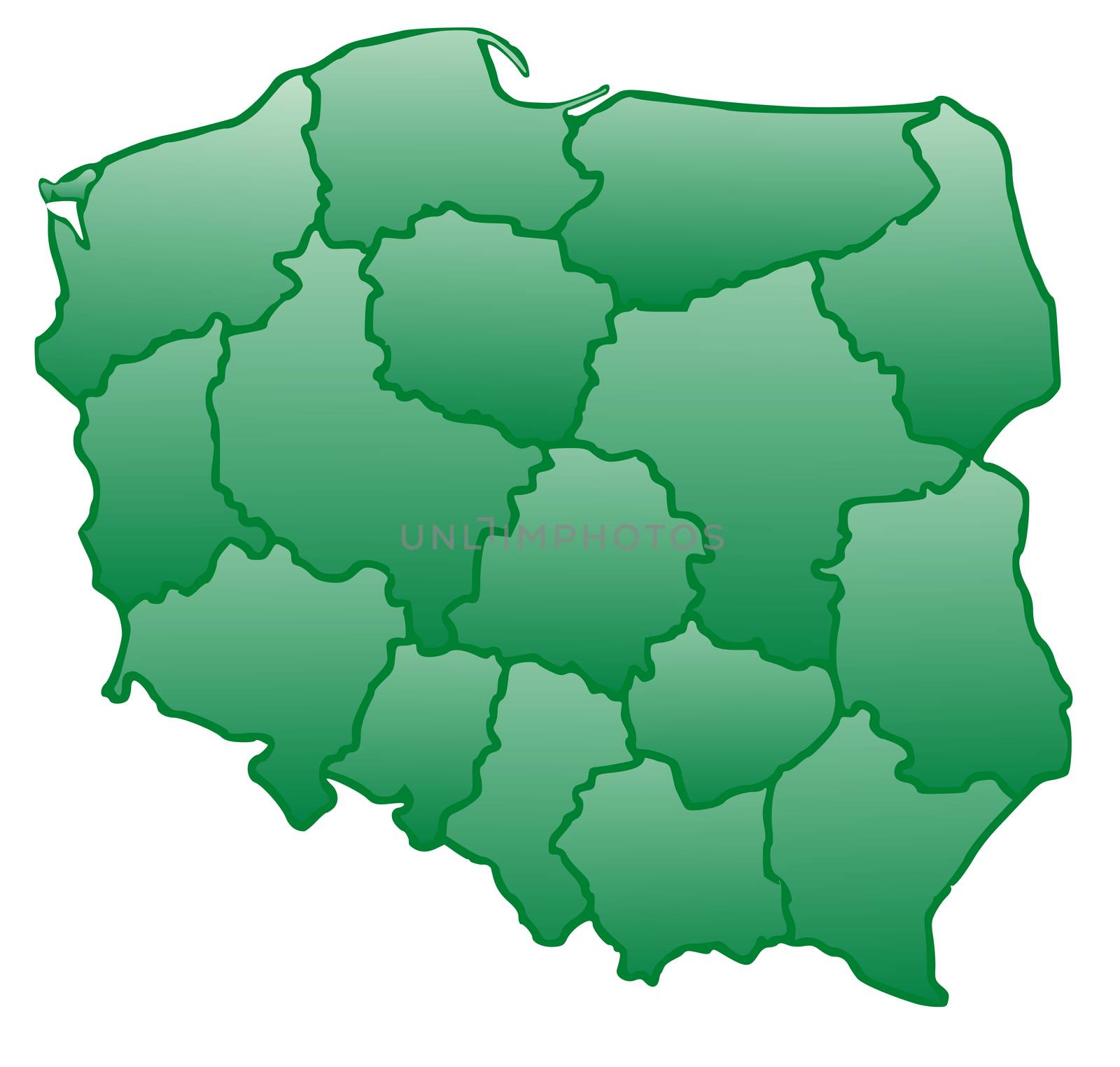 Map of Poland in a green color isolated on a white background with 16 voivodeships.