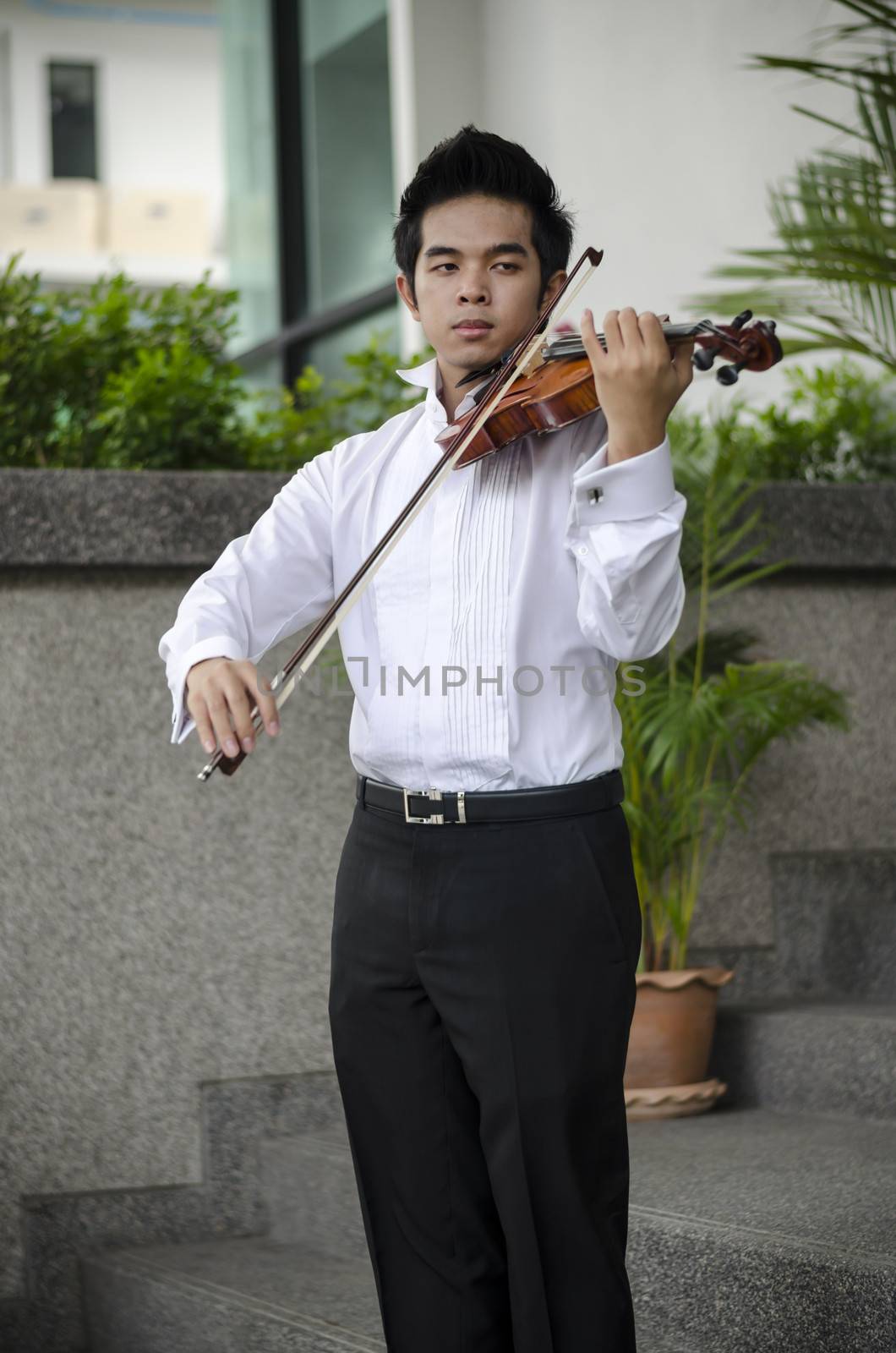 Thailand asia man with his violin he is a soloist