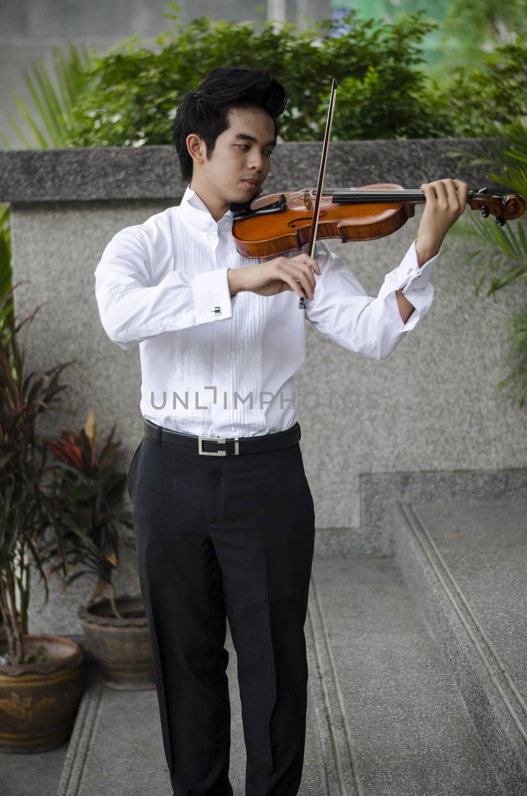 Thailand asia man with his violin he is a soloist