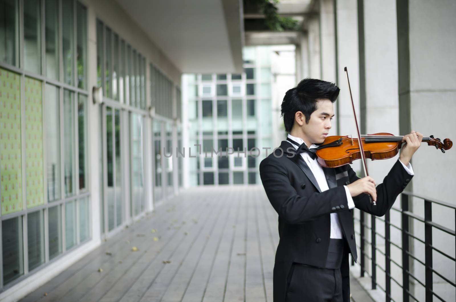 Thailand asia man with his violin he is a soloist