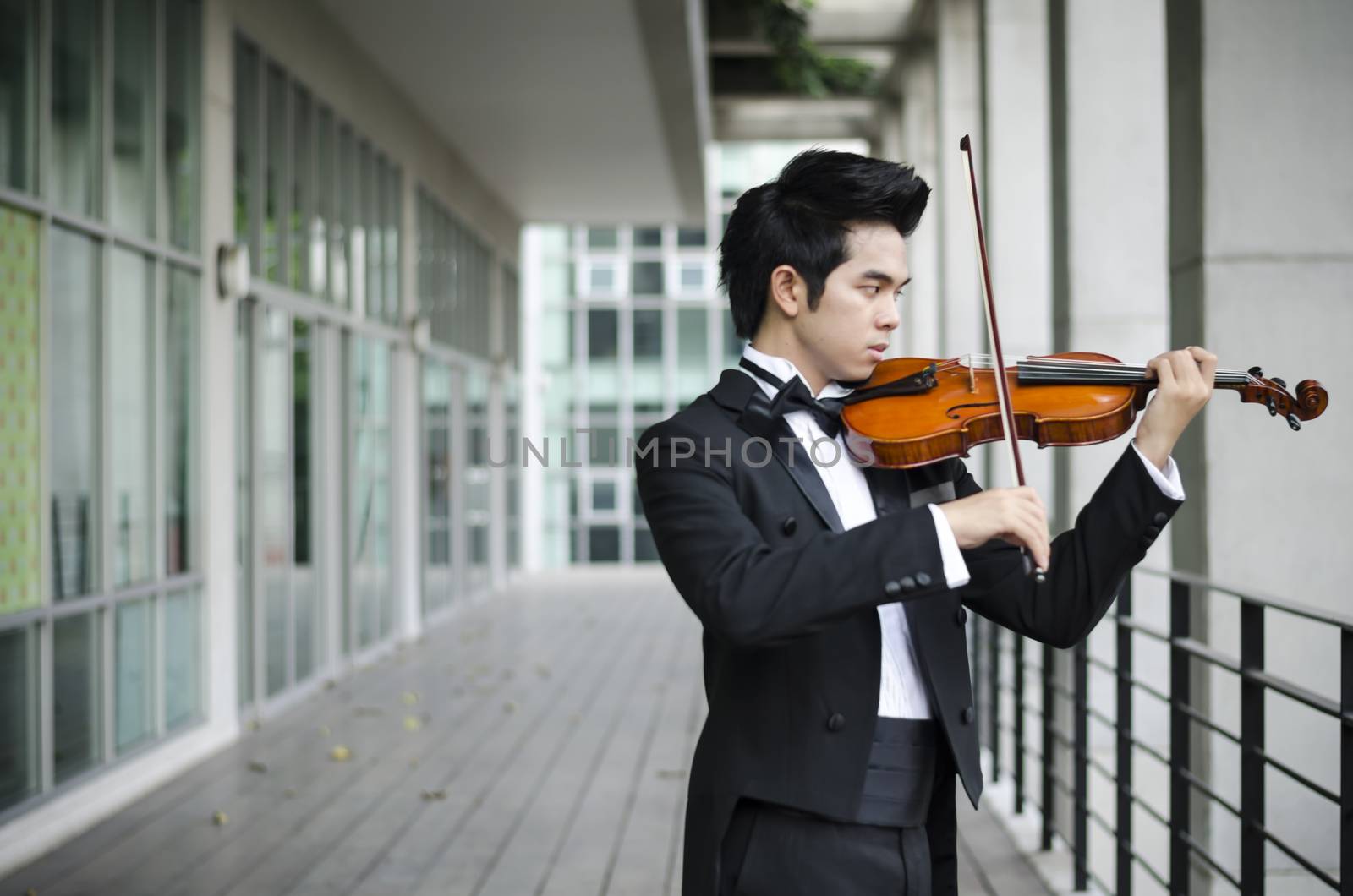 Thailand asia man with his violin he is a soloist