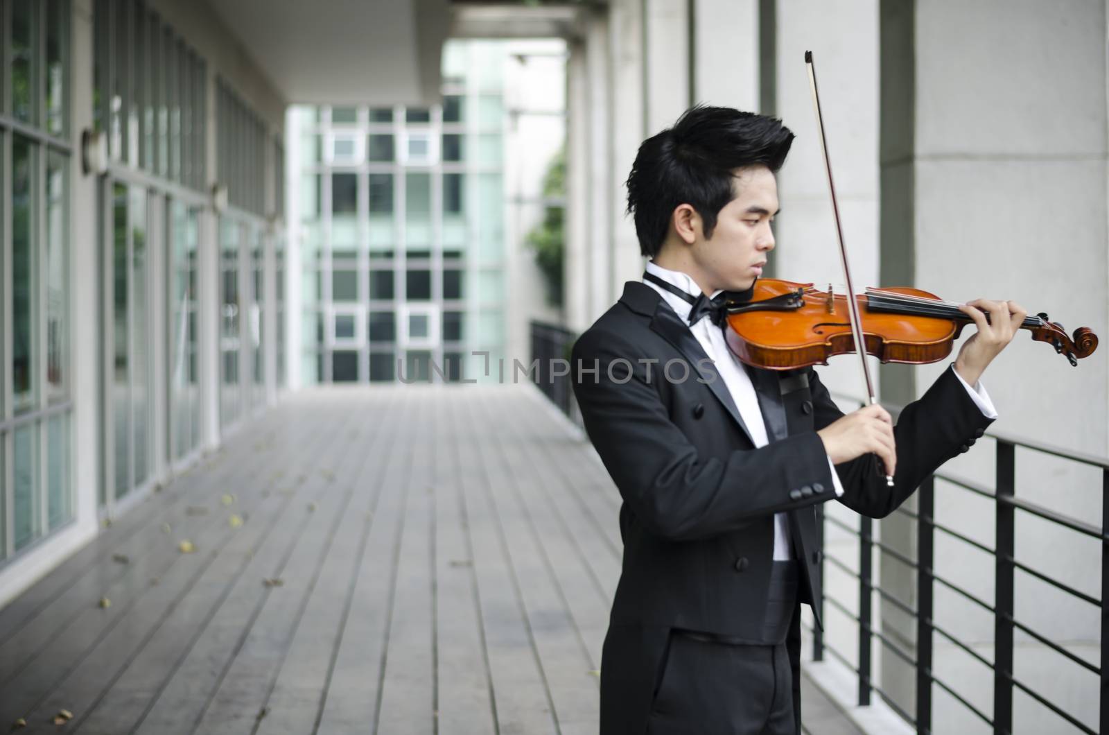 Thailand asia man with his violin he is a soloist