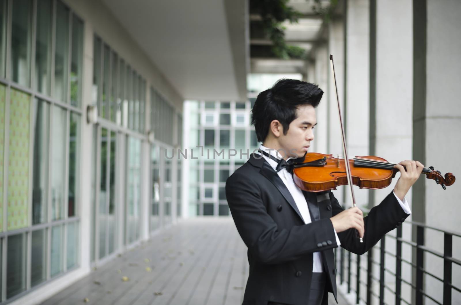 Thailand asia man with his violin he is a soloist