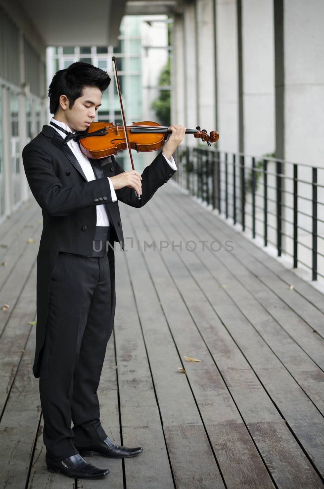 Thailand asia man with his violin he is a soloist