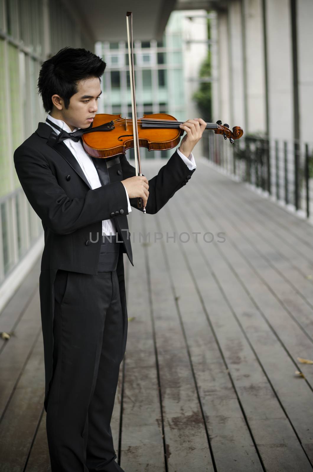 Thailand asia man with his violin he is a soloist