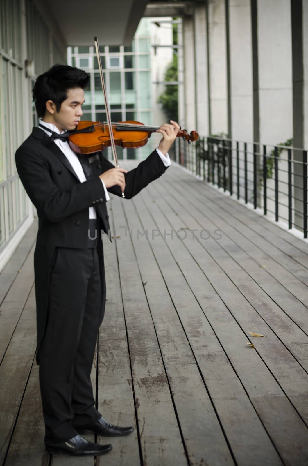 Thailand asia man with his violin he is a soloist