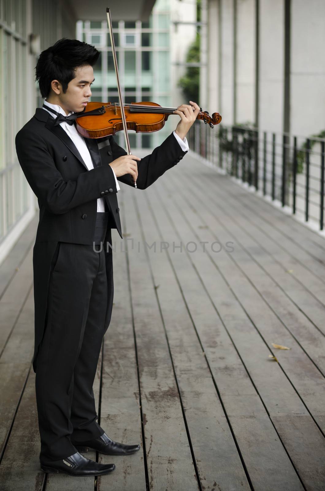 Thailand asia man with his violin he is a soloist