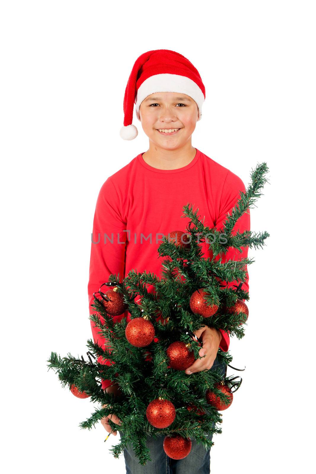 a boy with a Christmas Tree on a white background