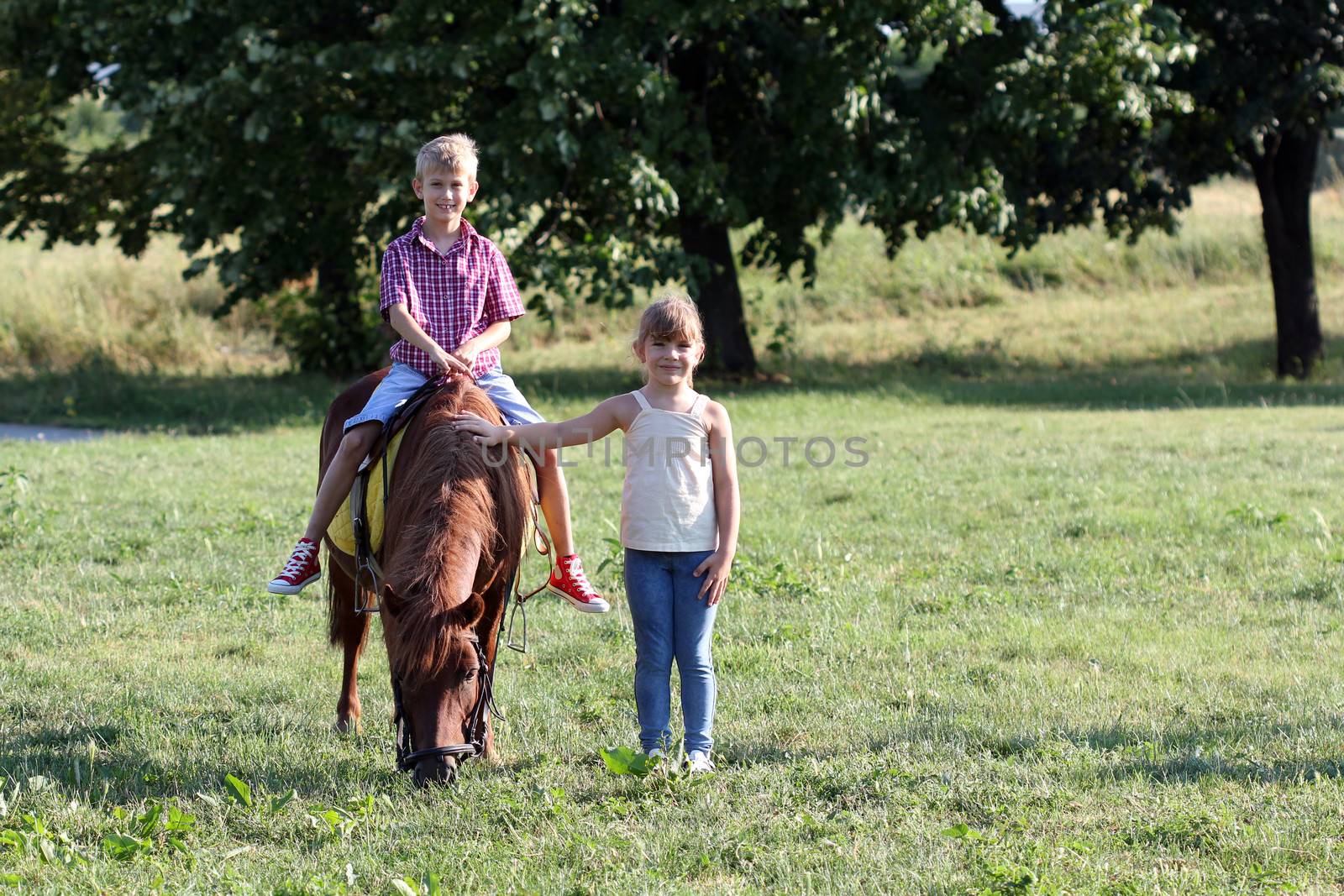 boy and little girl with pony horse pet  by goce