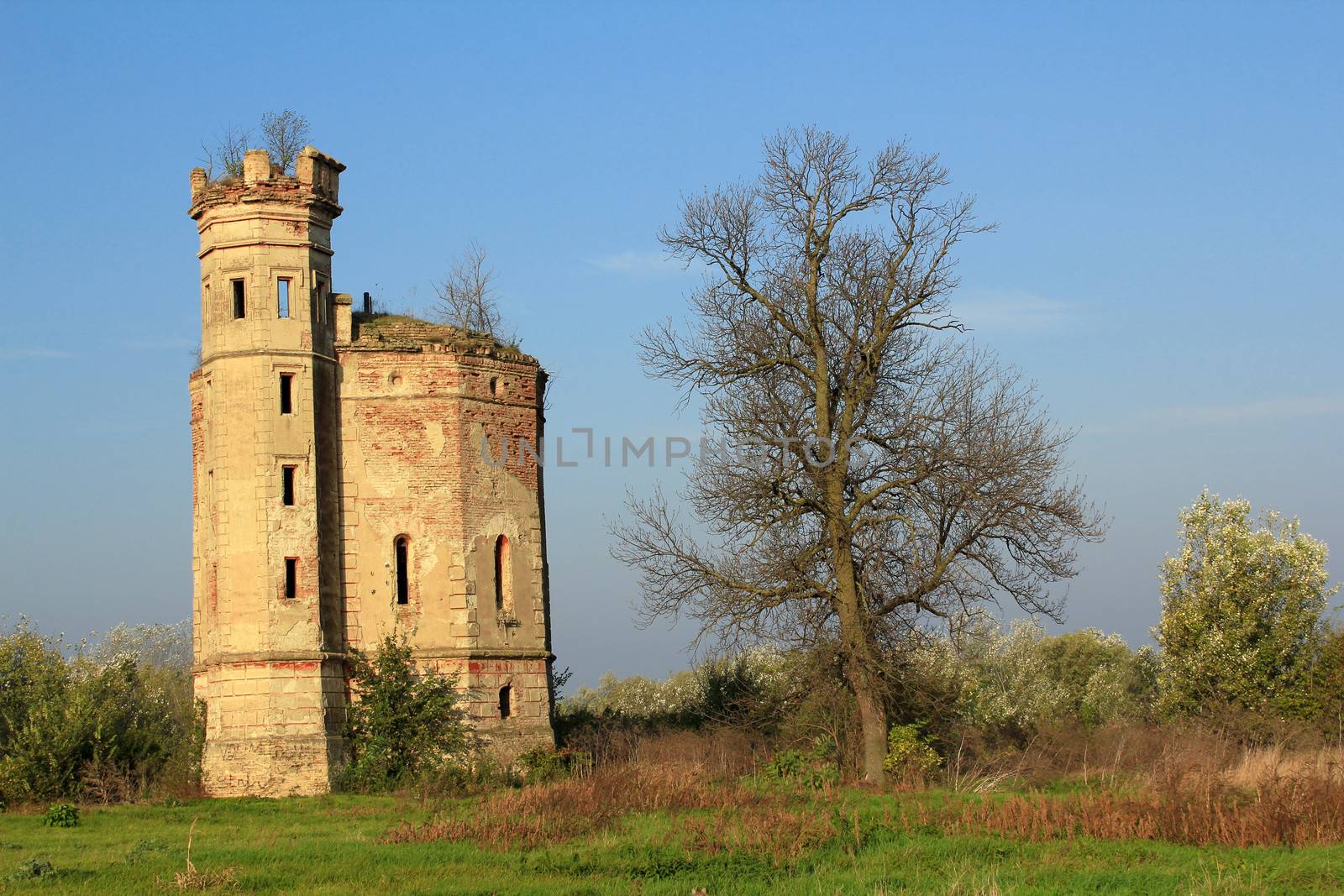 old ruined castle eastern europe by goce