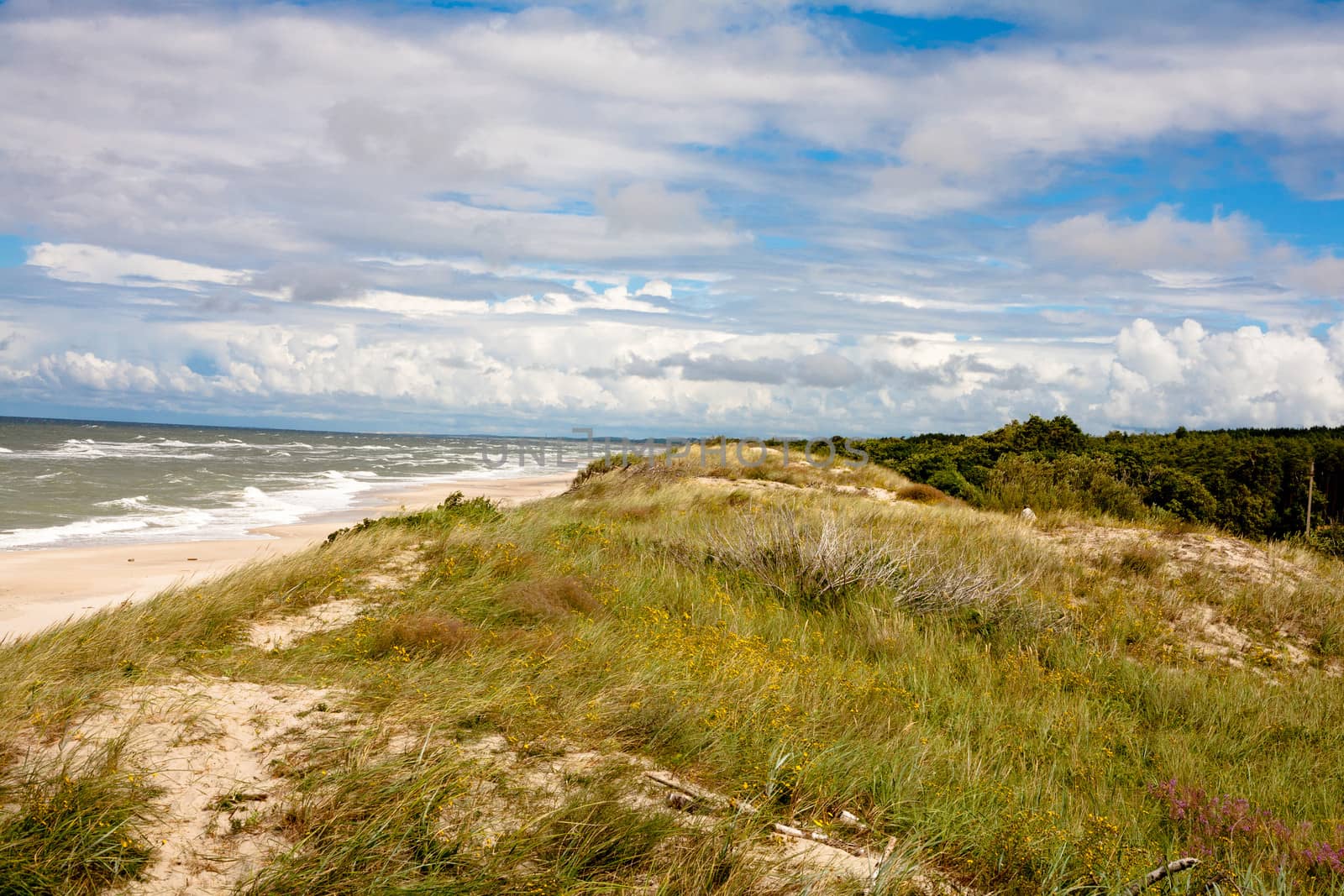 Baltic sea near Curonian Spit
