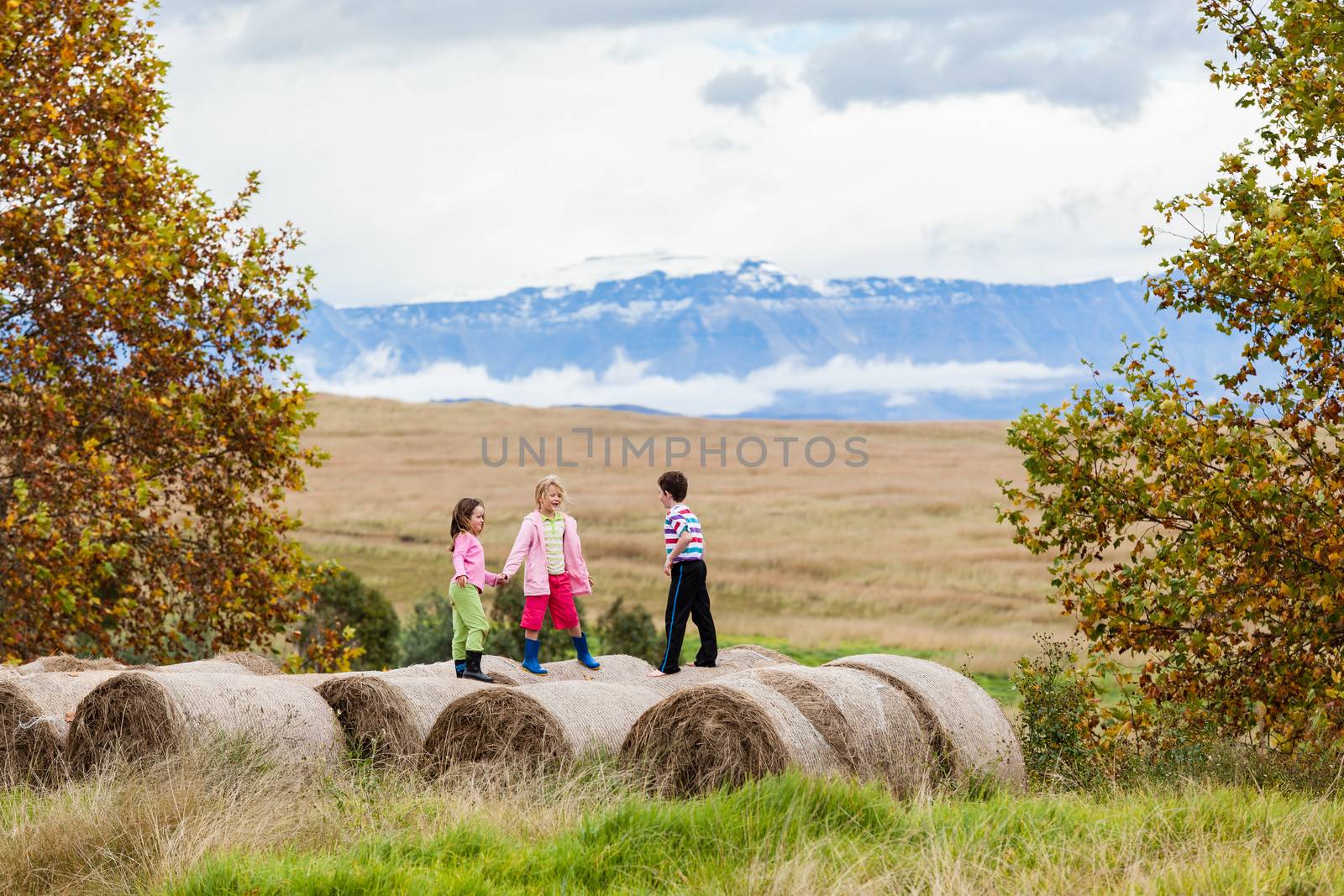Girls and boy play talk standing on cattle feed grass farm bales on mountain farm