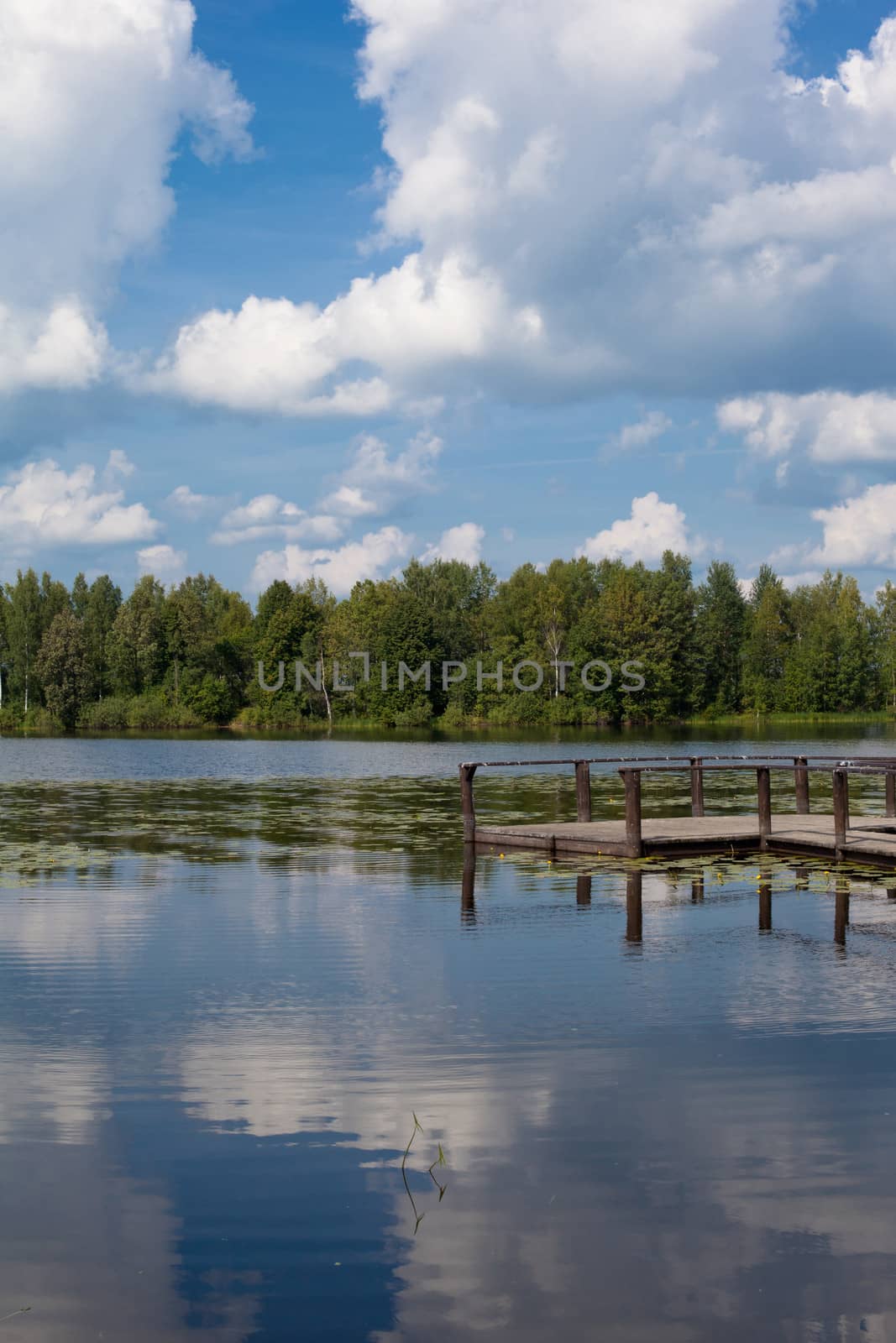 Lake landscape with forest and wooden gangway
