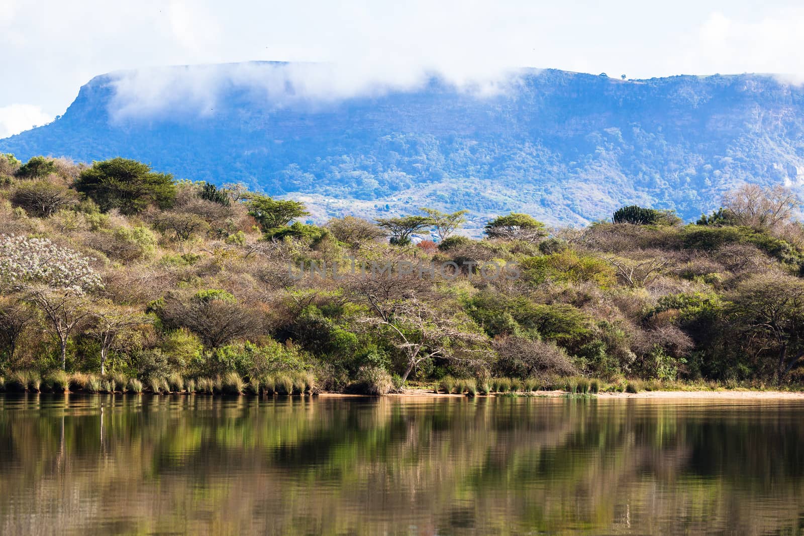 Dam Lake Waters Trees Glass Nature by ChrisVanLennepPhoto