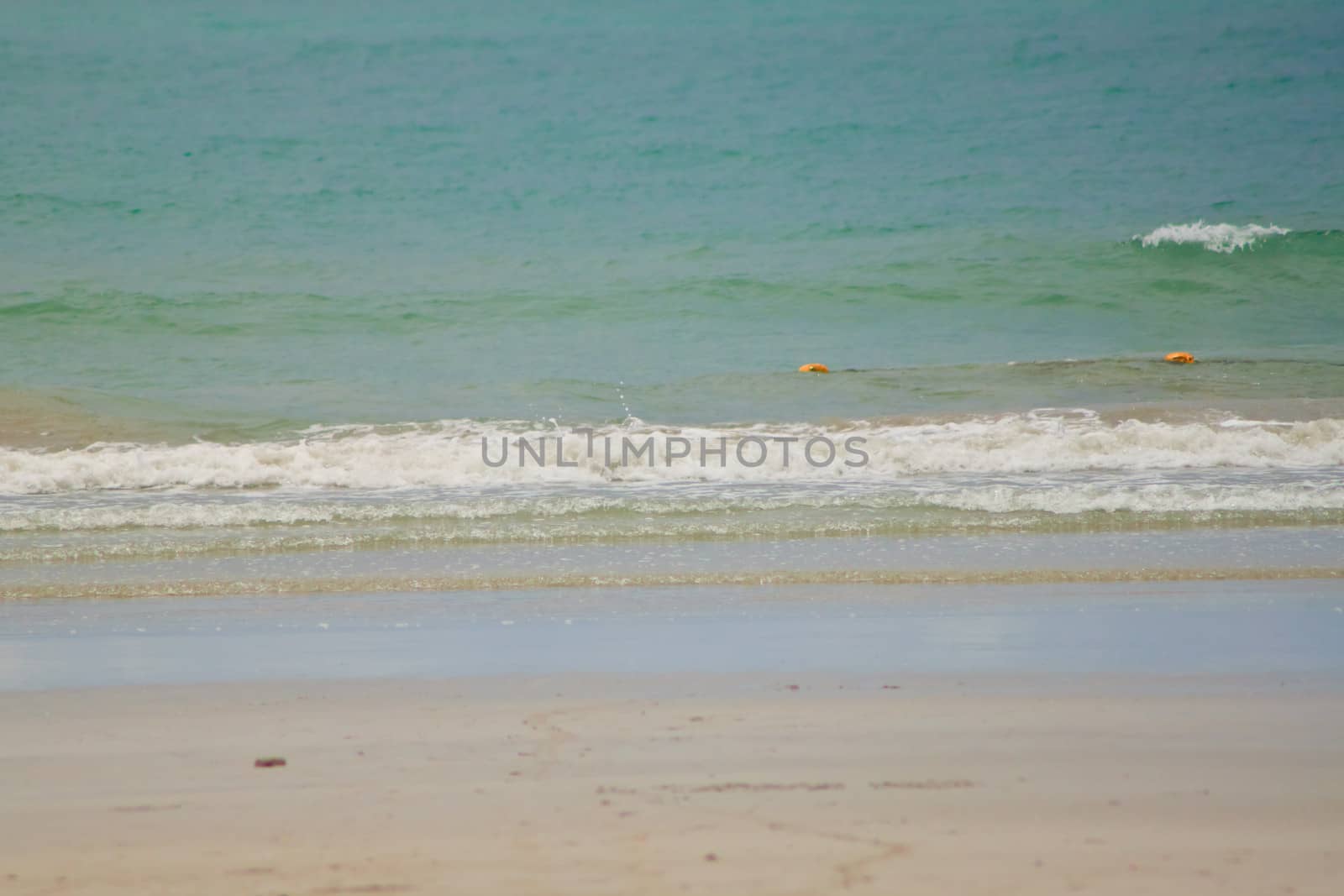 beach and tropical sea