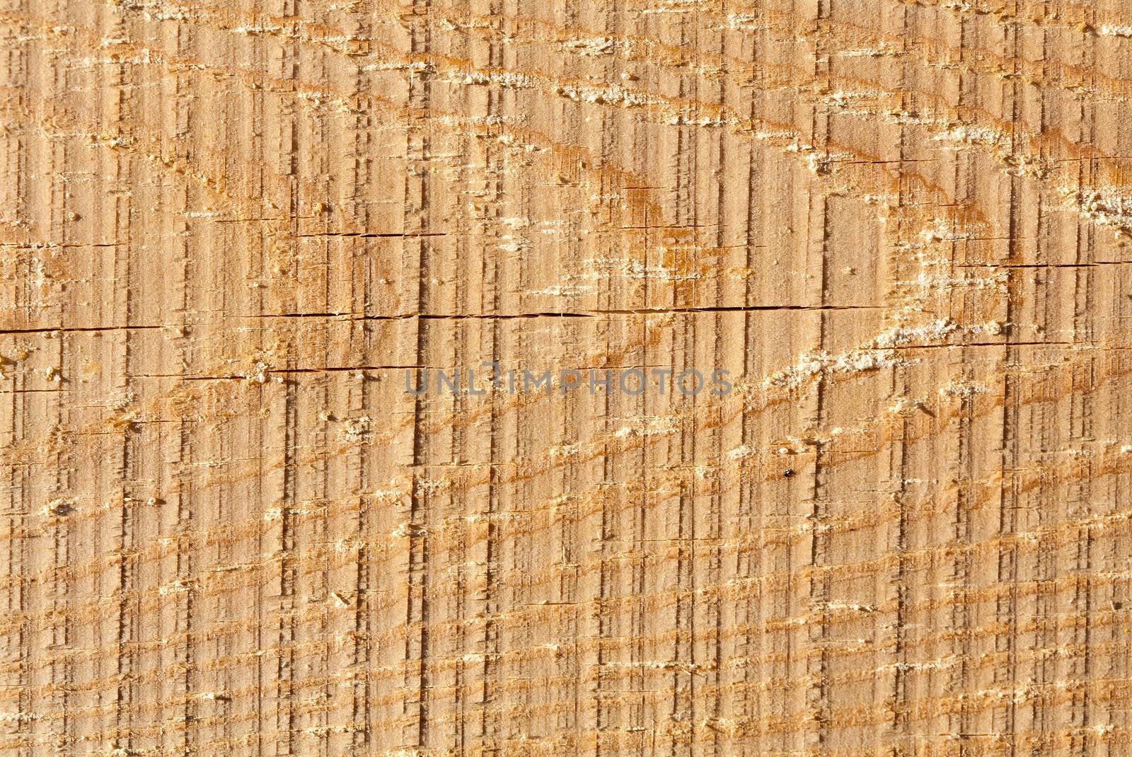 Texture of wood pattern background, low relief texture