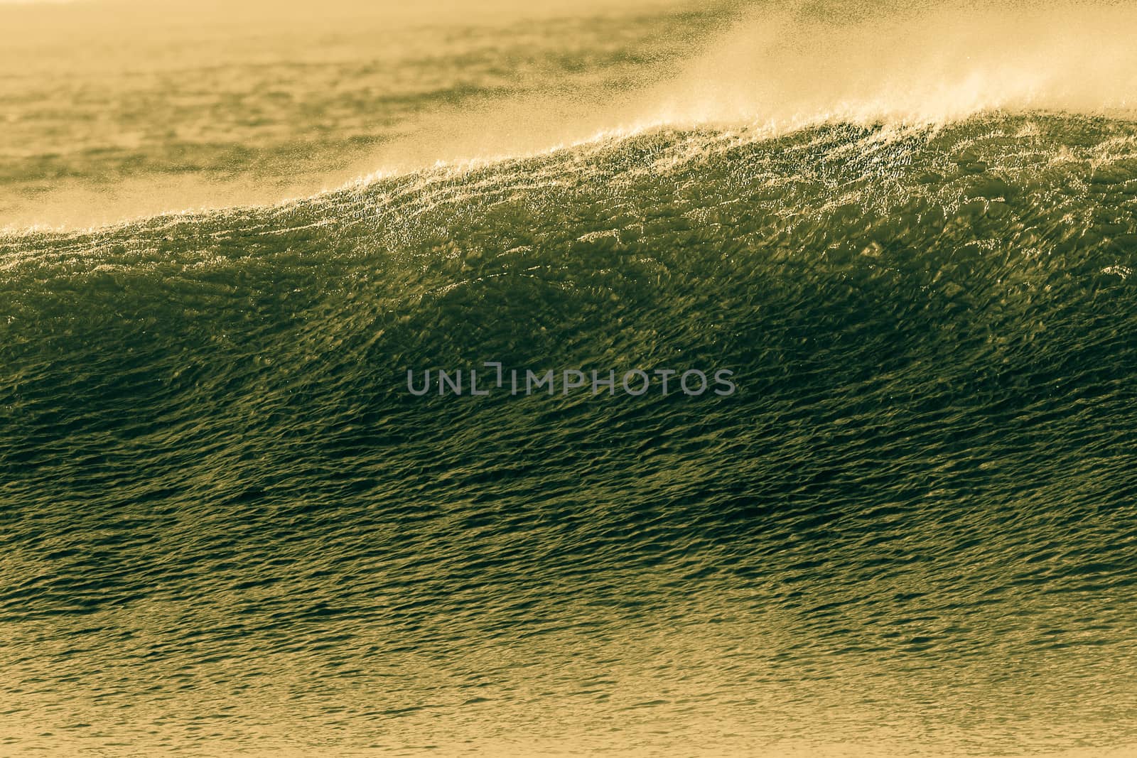 Ocean wave wall with offshore winds showing textures in detail in cross process in sepia tones.