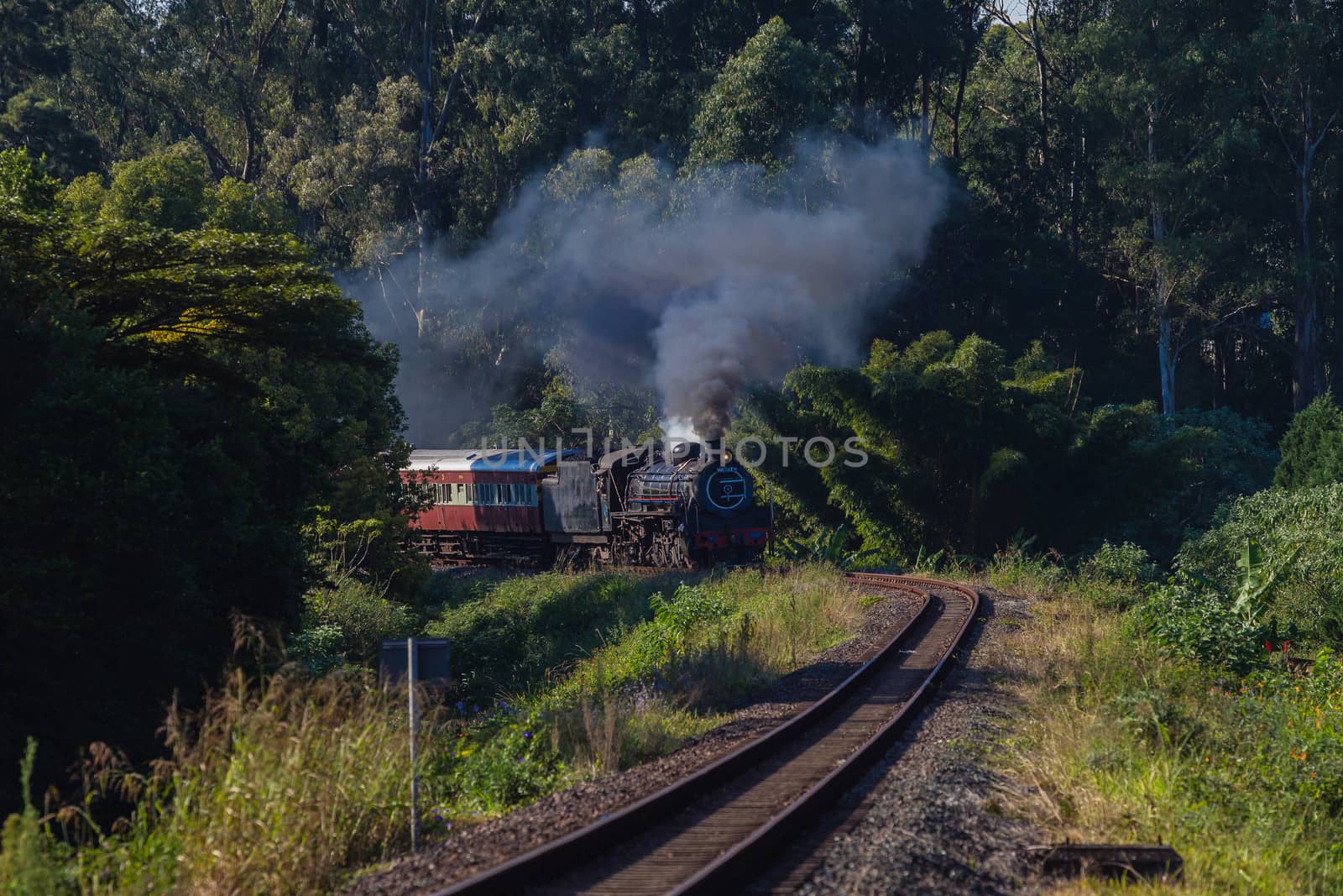 Steam train comes into view on the railway line from the green landscape.