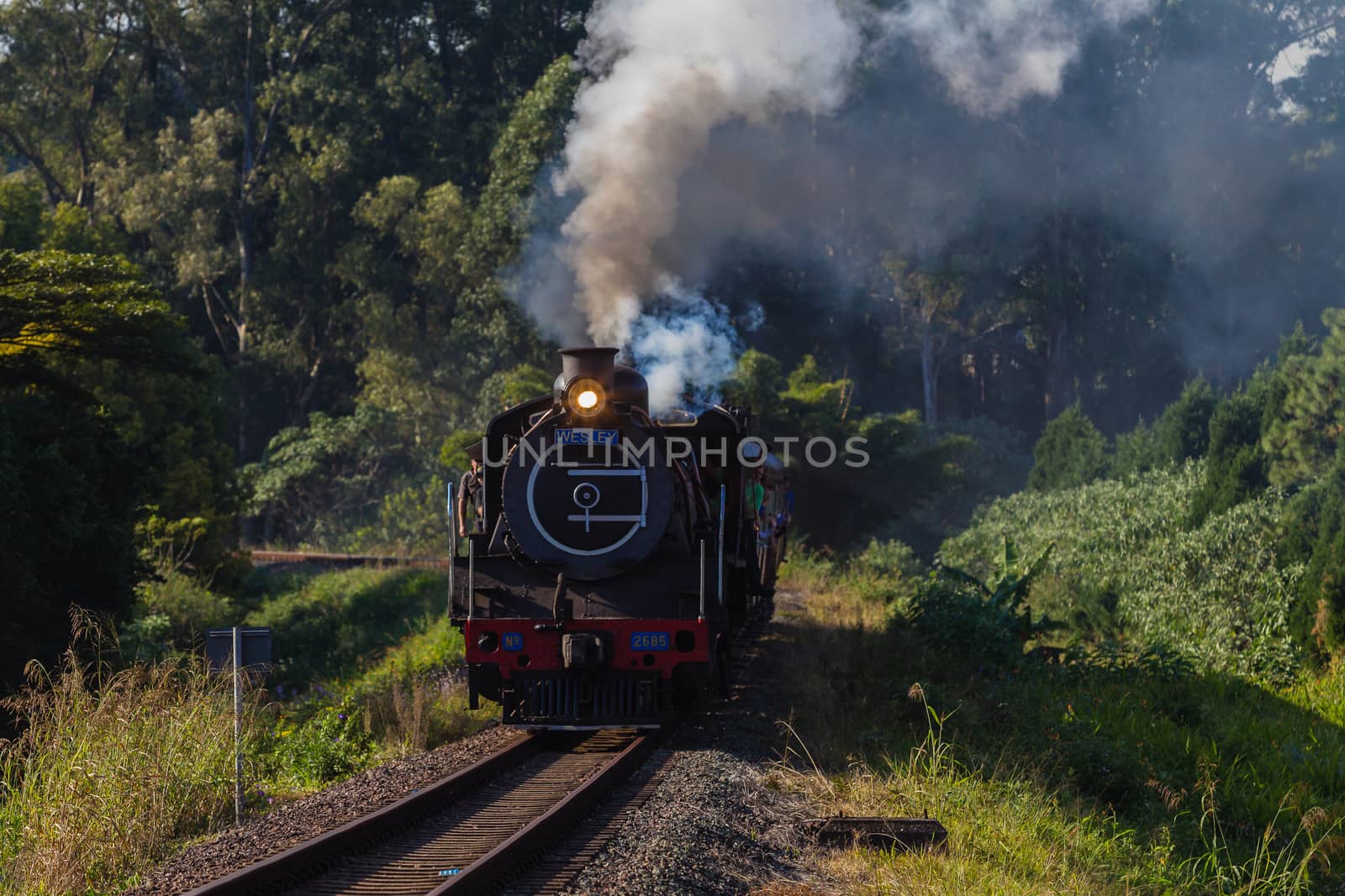 Steam Train Engine Tourism Passengers by ChrisVanLennepPhoto