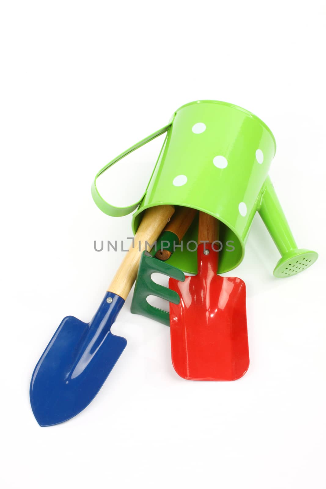 Color garden tools and watering can on white