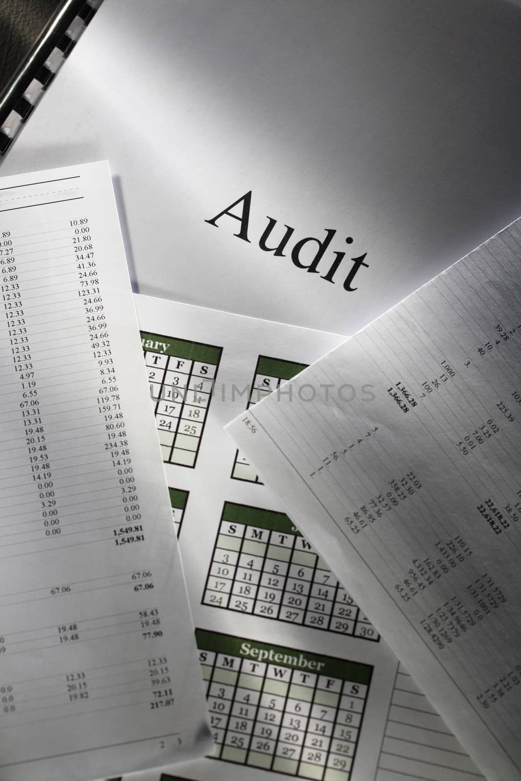 Operating budget, calendar and audit by Garsya
