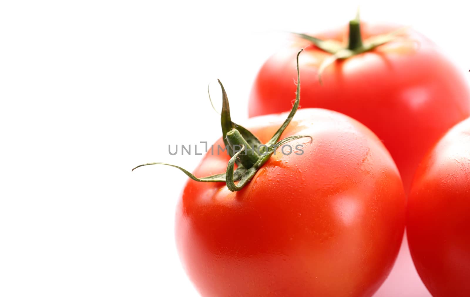 Tomatoes on the white background