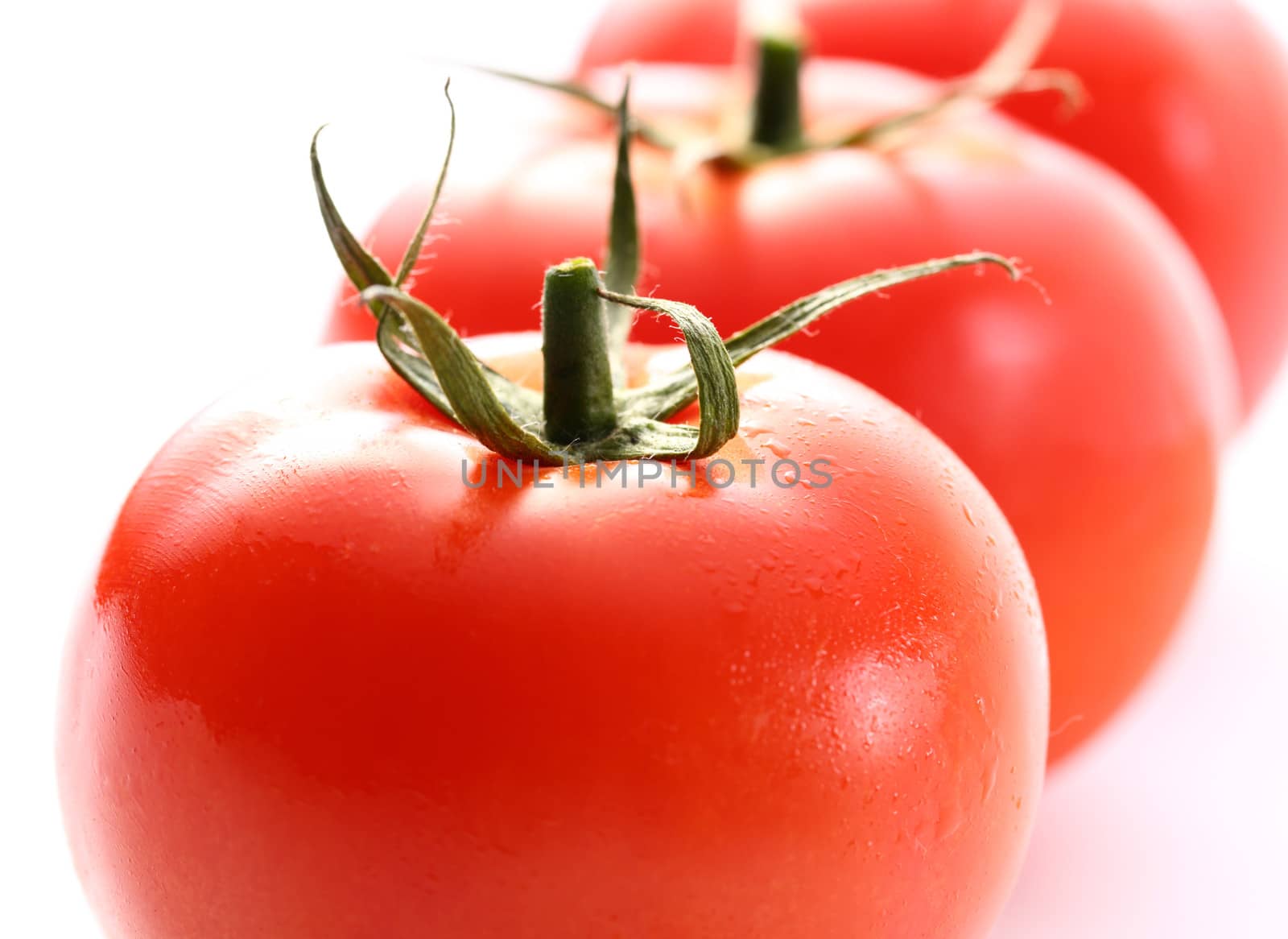Tomatoes on the white background