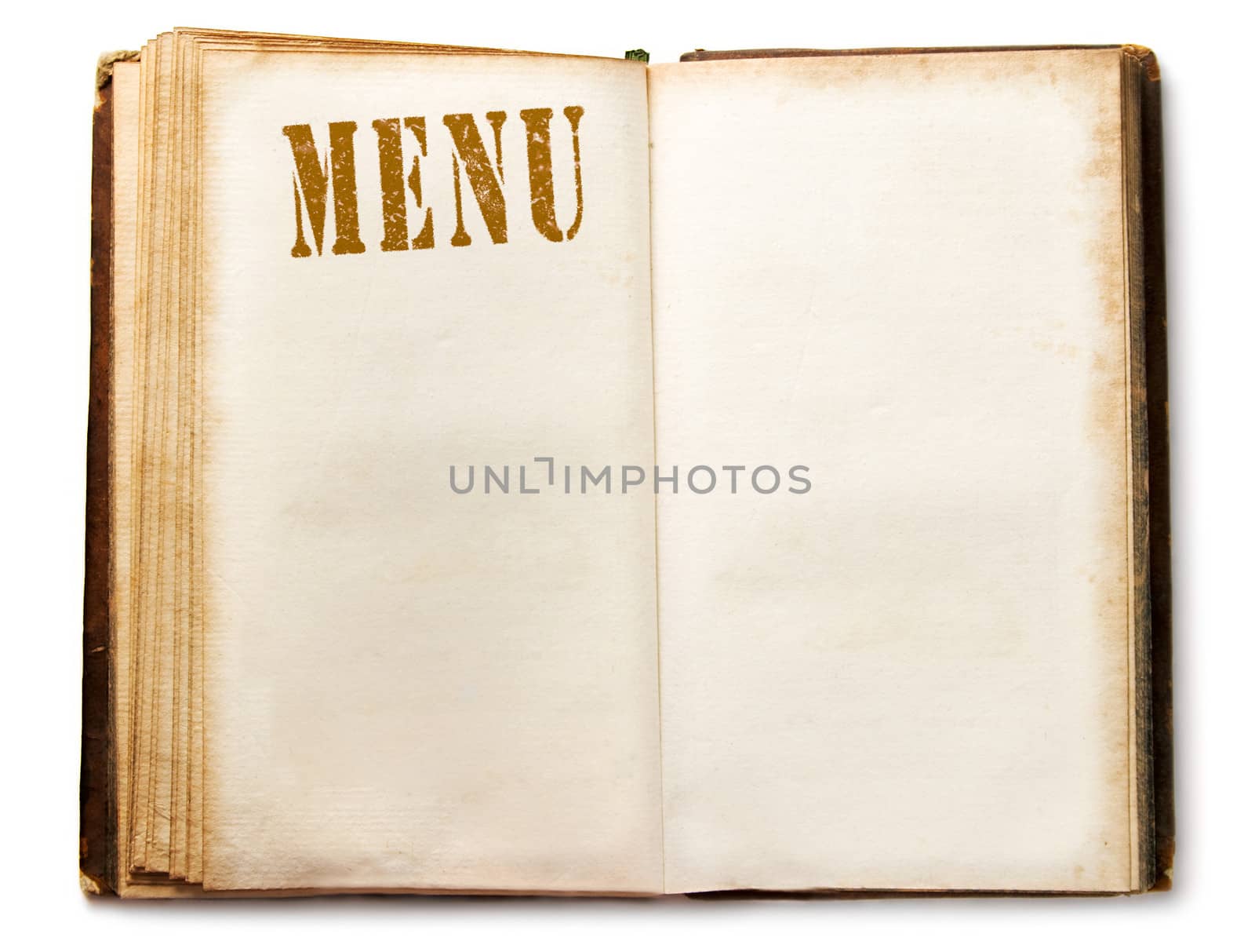 Blank vintage menu book