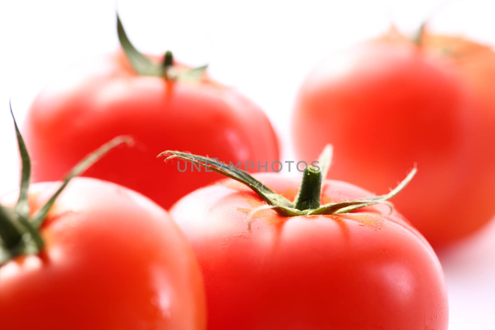 Tomatoes on the white background