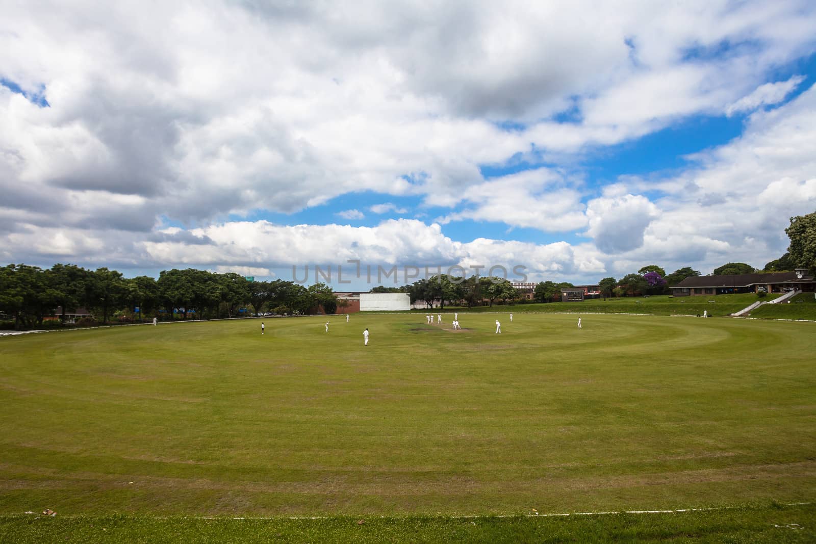 Cricket league match game with players on oval field during a summers day.