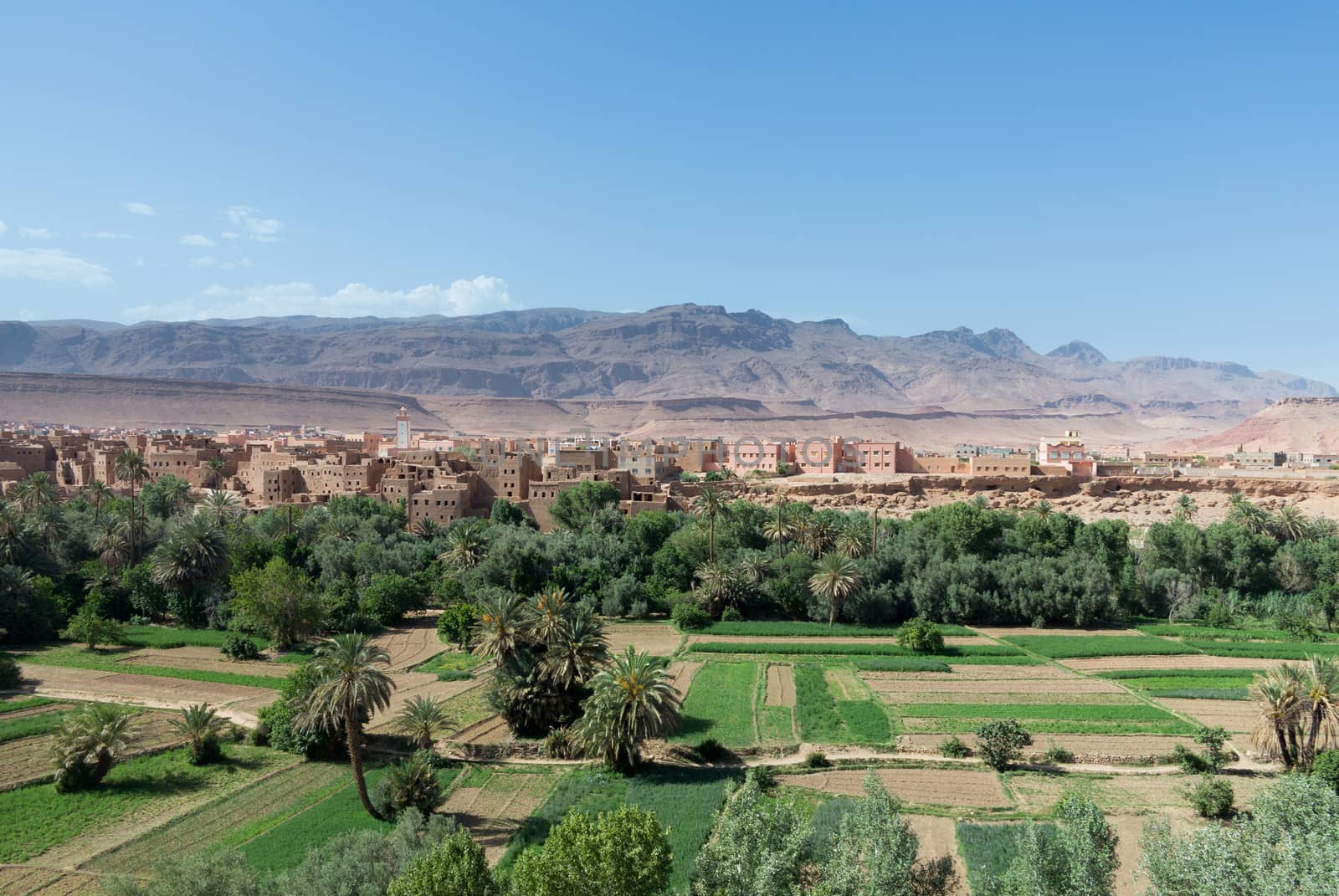 Tinghir in Morocco is a town set in the dry desert in the midst of a green oasis like river