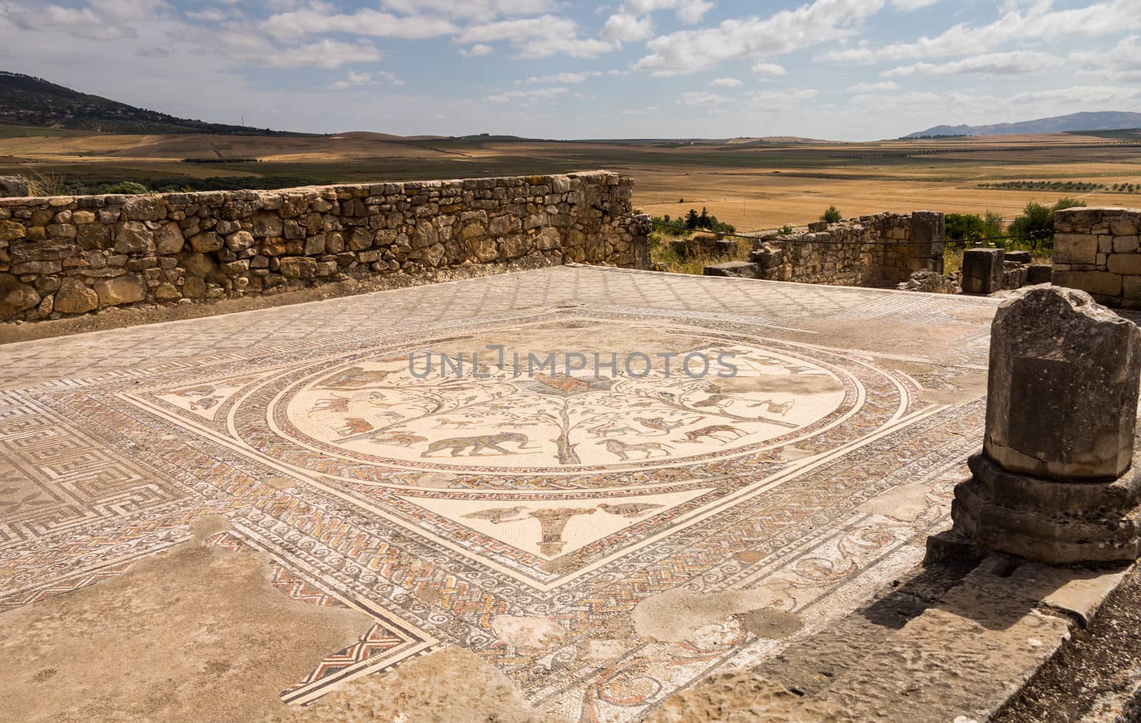 Volubilis is a partly excavated Roman city in Morocco situated near Meknes between Fes and Rabat. Built in a fertile agricultural area, it was developed from the 3rd century BC onwards as a Phoenician Carthaginian settlement