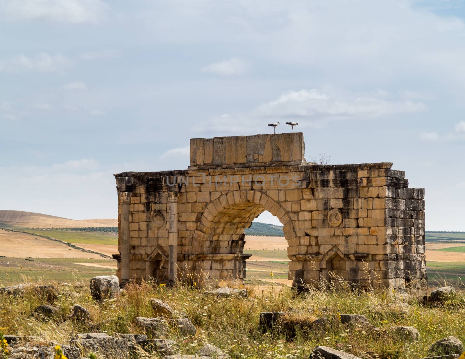 Volubilis is a partly excavated Roman city in Morocco situated near Meknes between Fes and Rabat. Built in a fertile agricultural area, it was developed from the 3rd century BC onwards as a Phoenician Carthaginian settlement