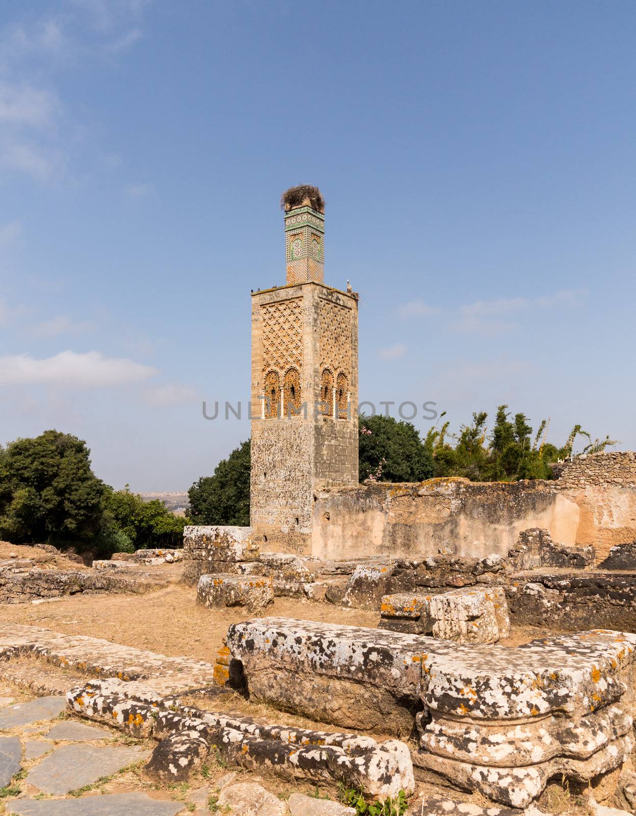Ancient roman ruins in Chellah near Rabat in Morocco are well populated by storks and their nests