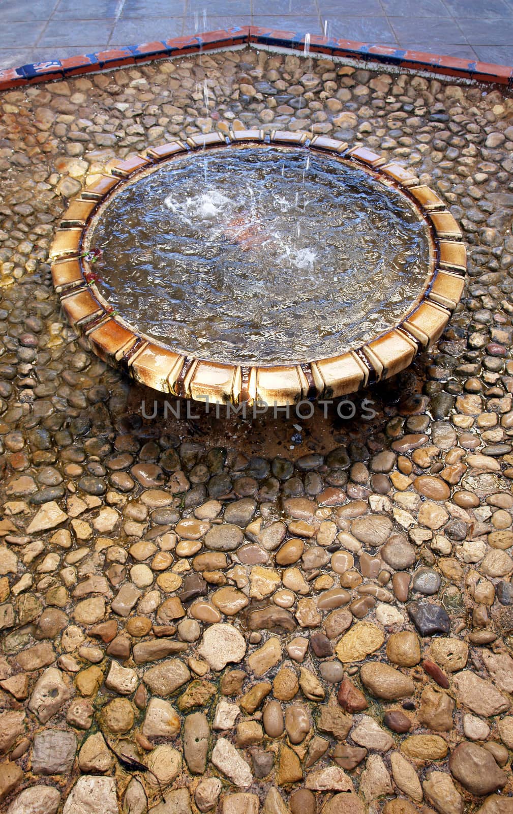 Fountain detail. Palm garden in Alicante, Spain. by ptxgarfield