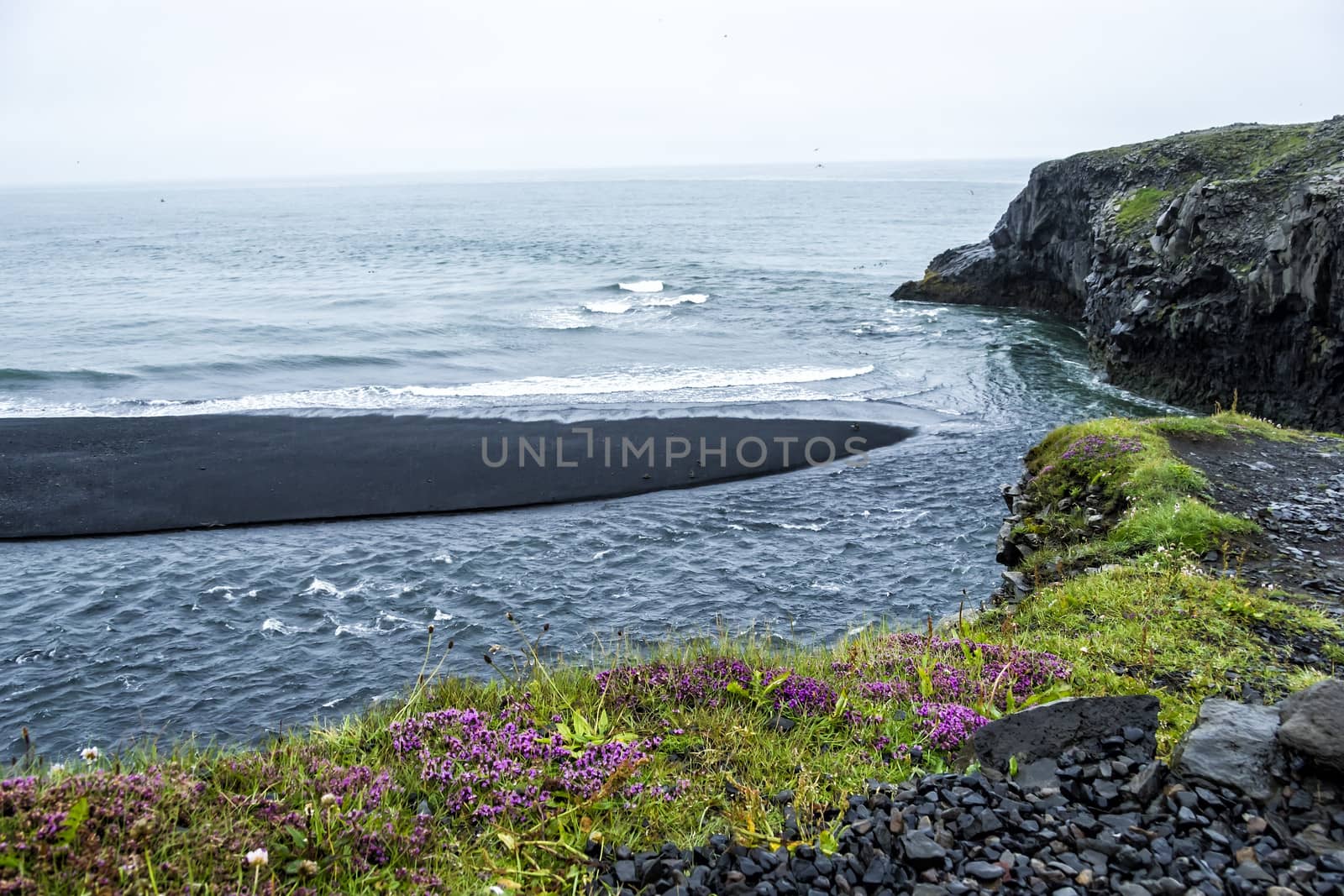 Black volcanic sand on the south coast of Iceland by Tetyana