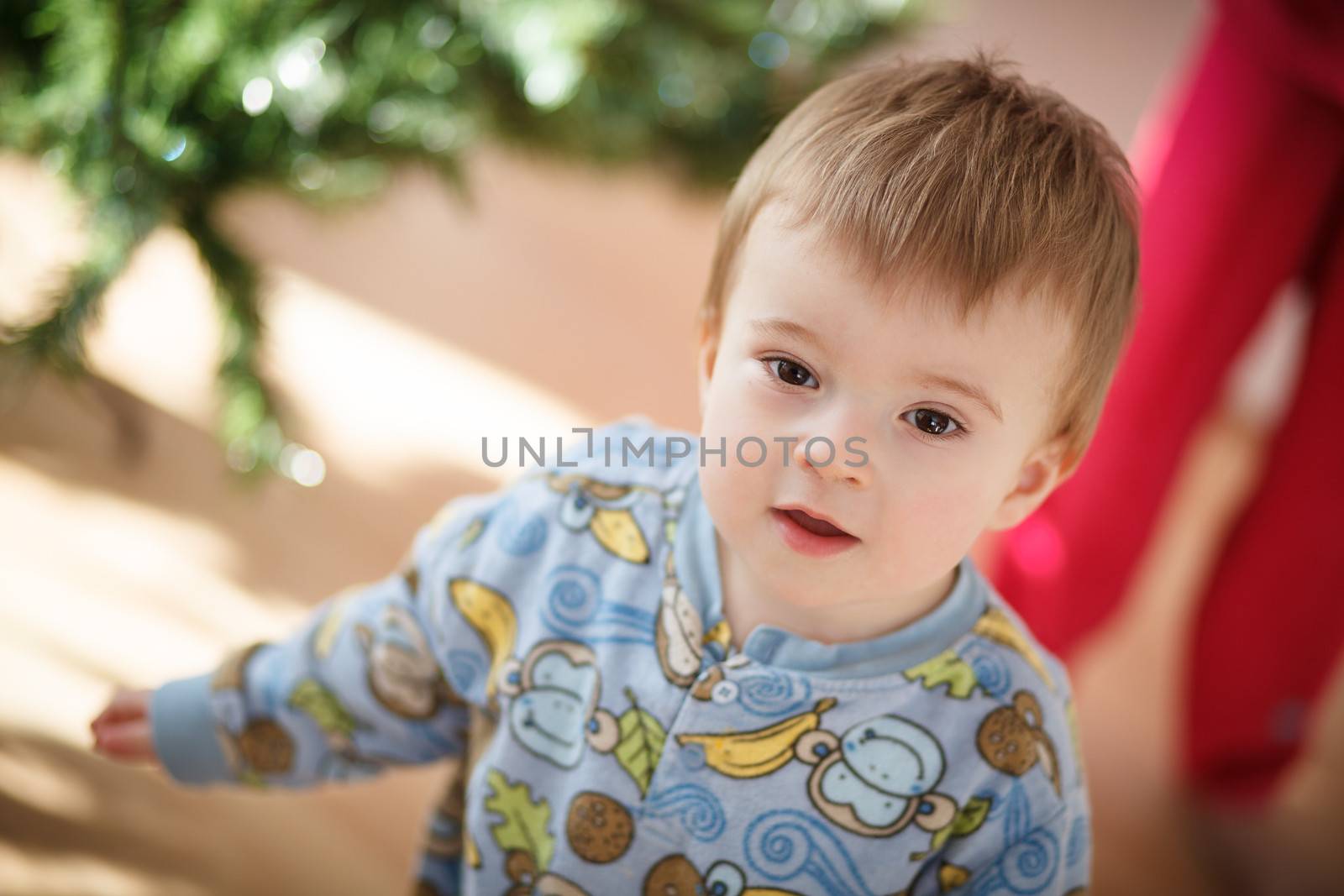 Little Infant helping building the Christmas tree