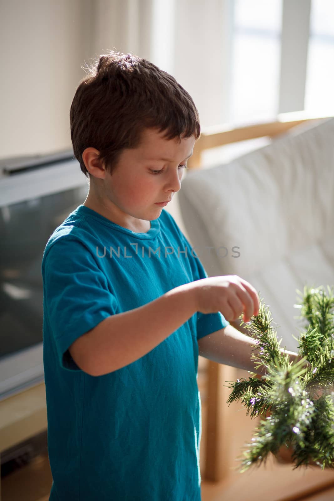 Boy building a Christmas tree inside a house