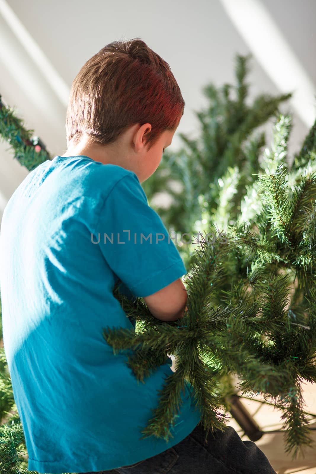 Boy building a Christmas tree by Talanis