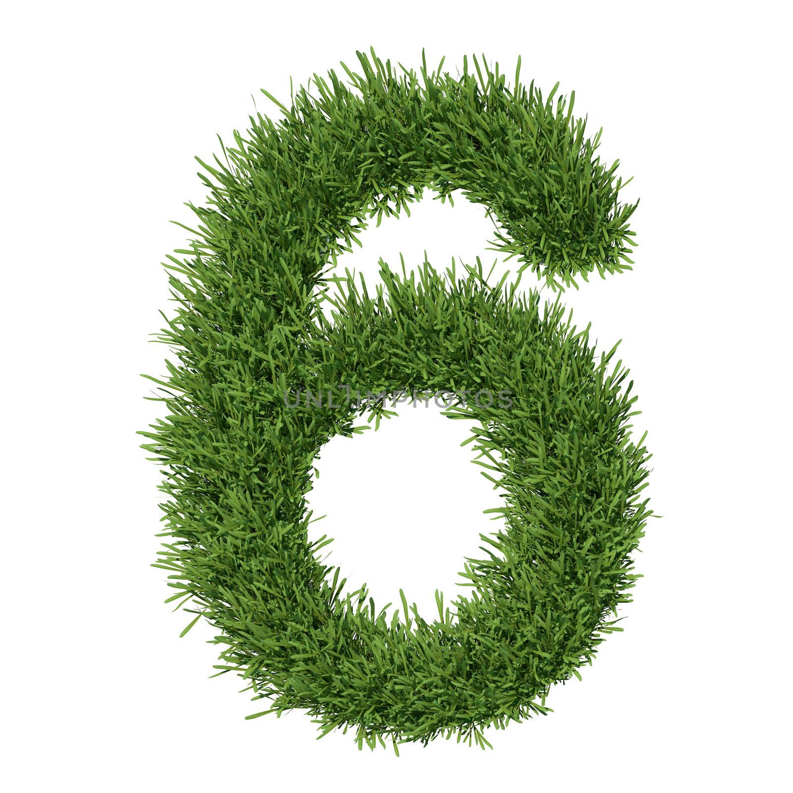 Arabic numeral made of grass. Isolated render on a white background