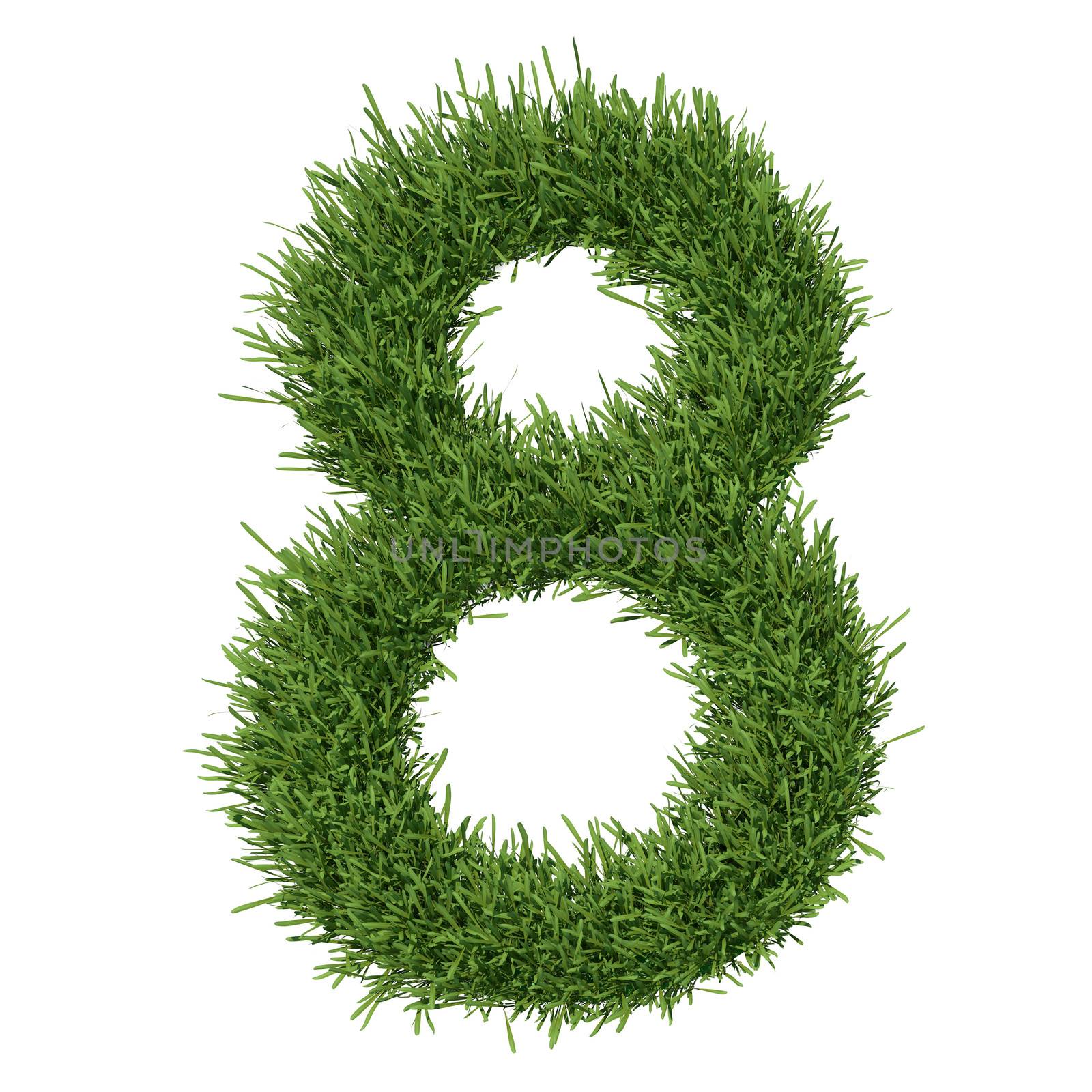 Arabic numeral made ​​of grass by cherezoff