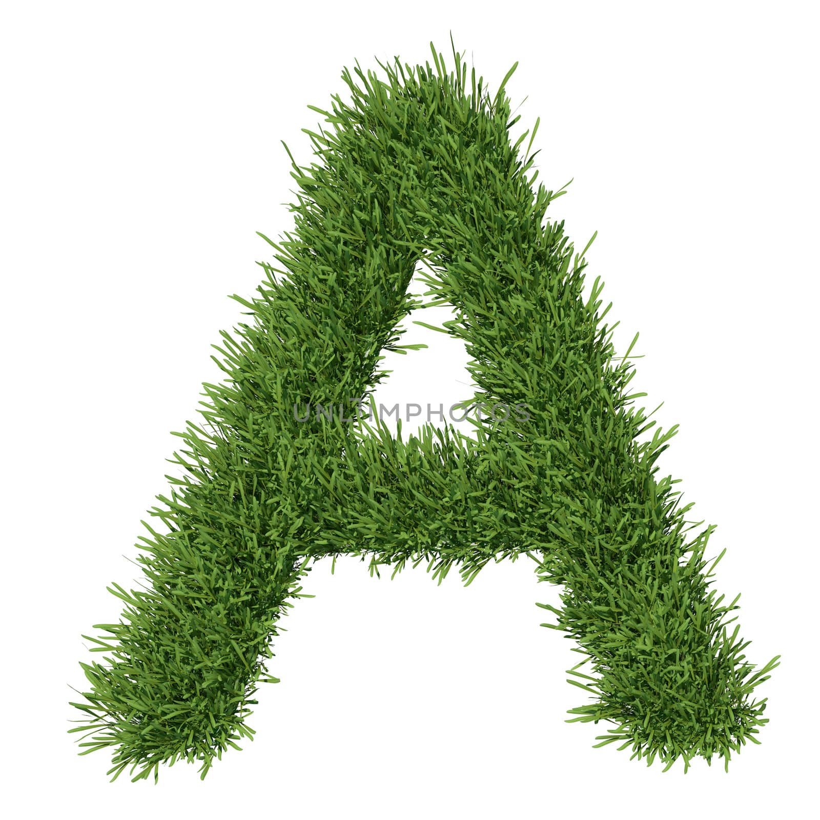 Letter of the alphabet made ​​from grass by cherezoff